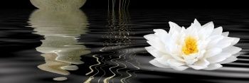 Endymion_MK2's profile banner image