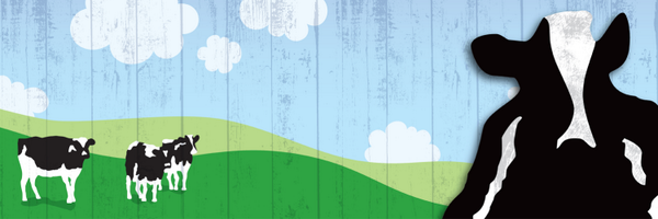 benandjerrys Profile Banner