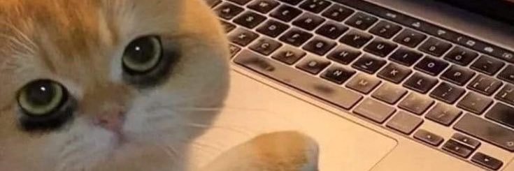 clovertip 🍀 - ts tpa banner