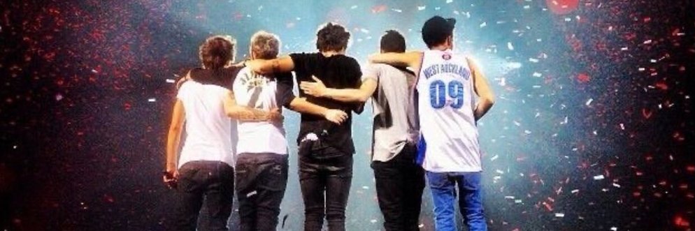 YouandiNiall's profile banner image