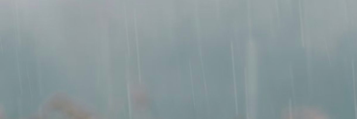Leodemzki's profile banner image