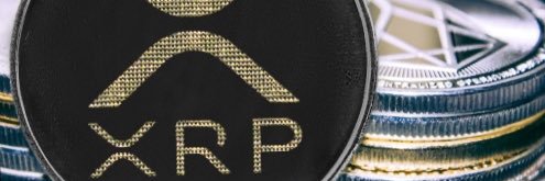 TaverneFrank's profile banner image