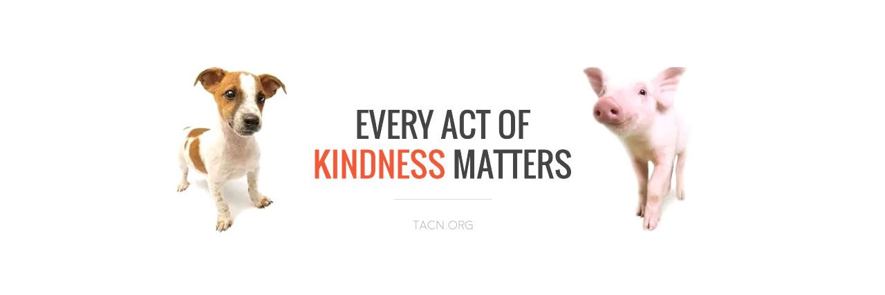tacnofficial's profile banner image