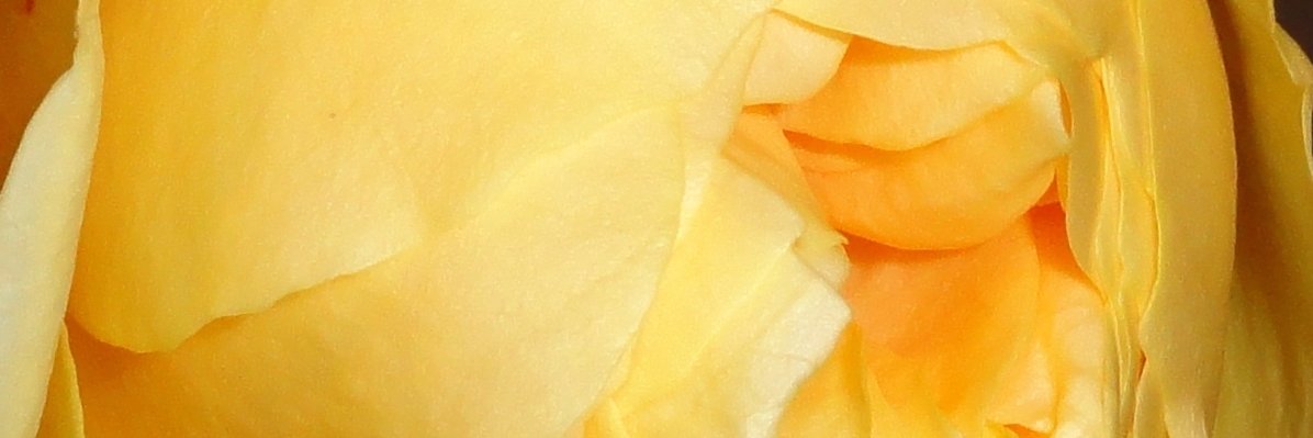 lafantome's profile banner image