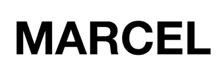 Theo Marcellin banner