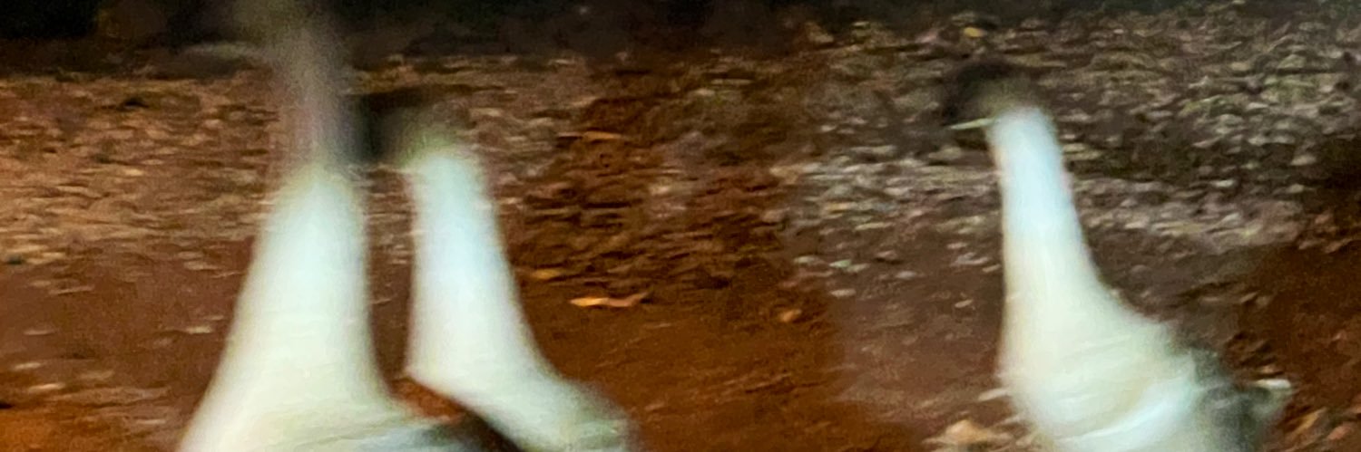 selambeyaya's profile banner image