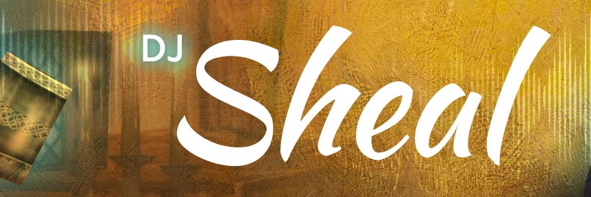DJ Sheal banner