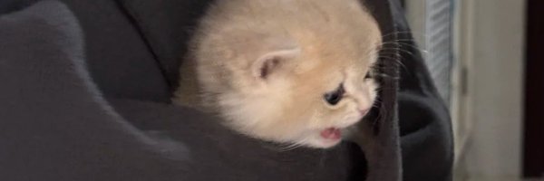 mengseoki Profile Banner