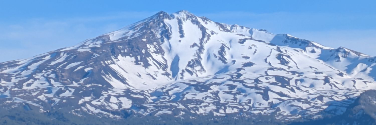 teardorops's profile banner image