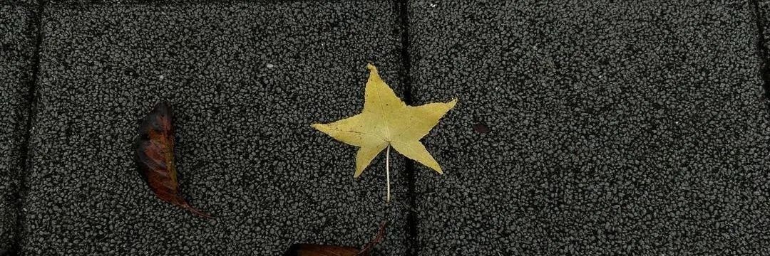 frncvsca's profile banner image