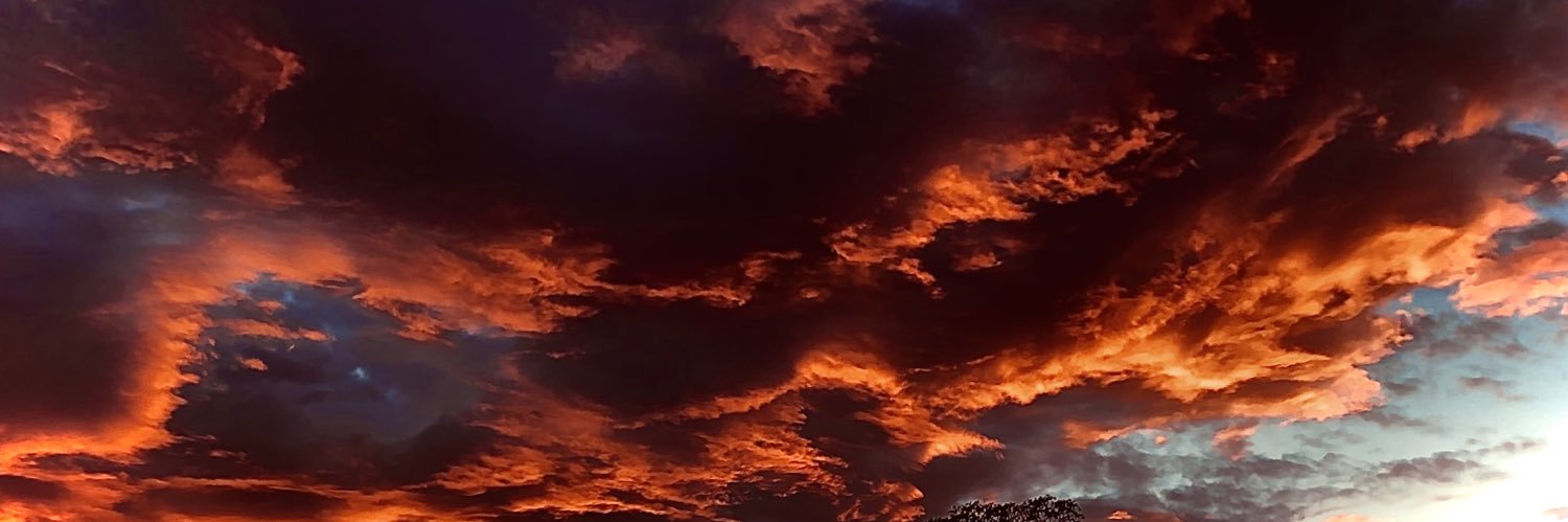 🌈 📯:innen banner