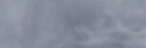 Niveous banner