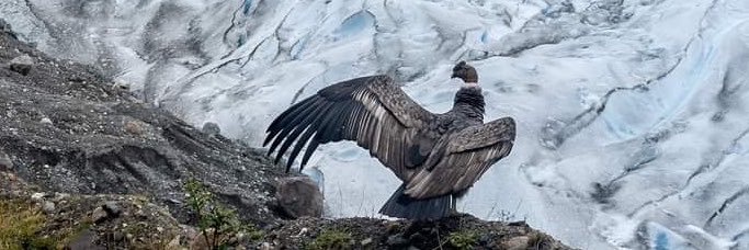 fedeegarbero's profile banner image