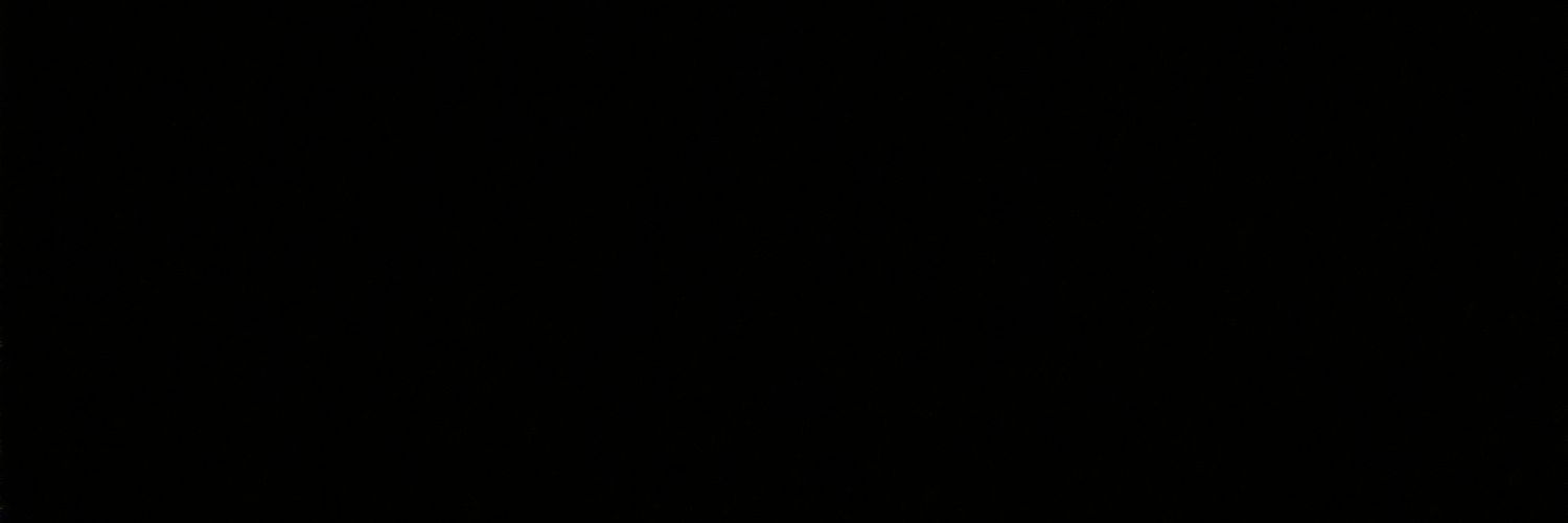 raykovich's profile banner image