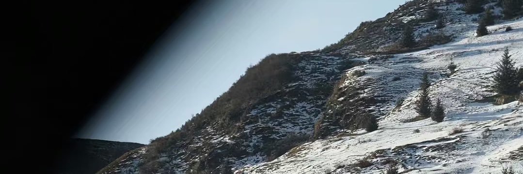 Quinn banner