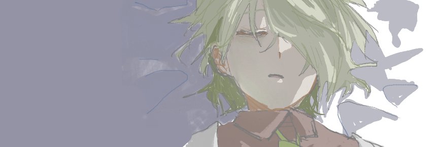 429p's banner