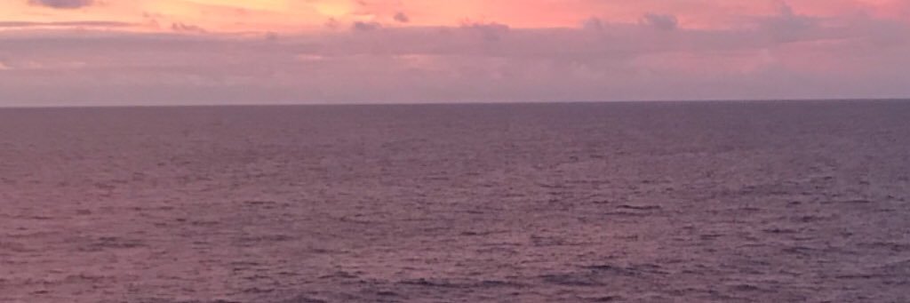 LynSPK5's profile banner image