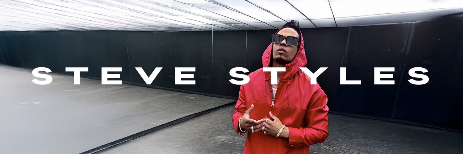 steve styles banner