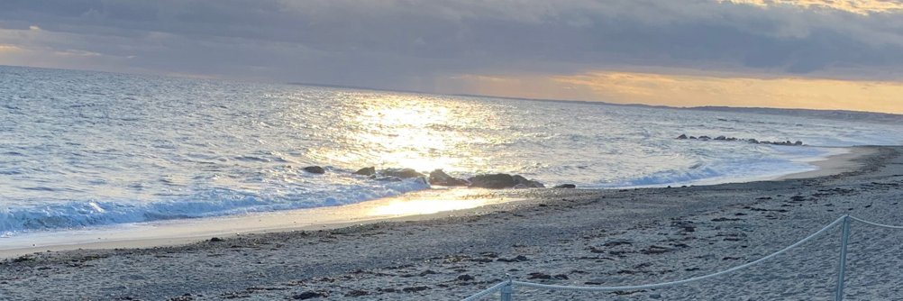 TheCapeCodRob's profile banner image