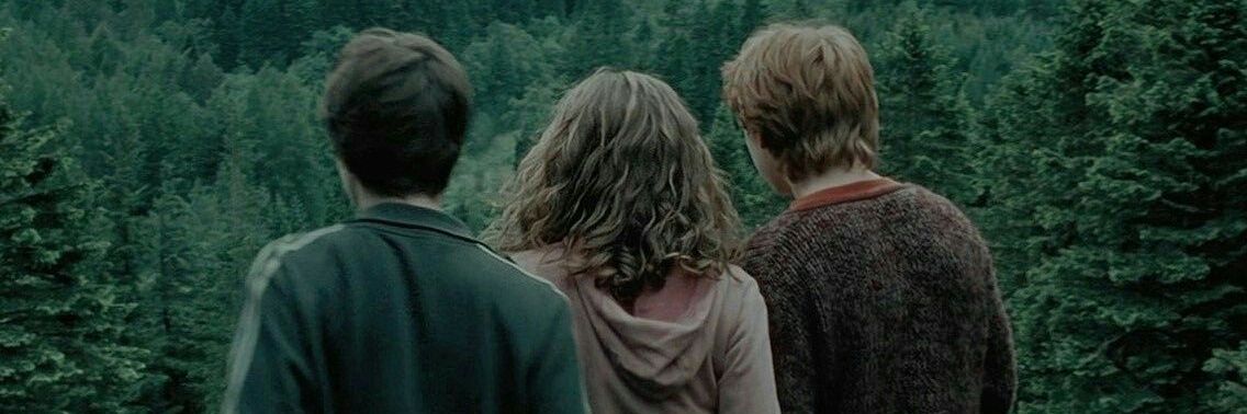 julia_ch31's profile banner image
