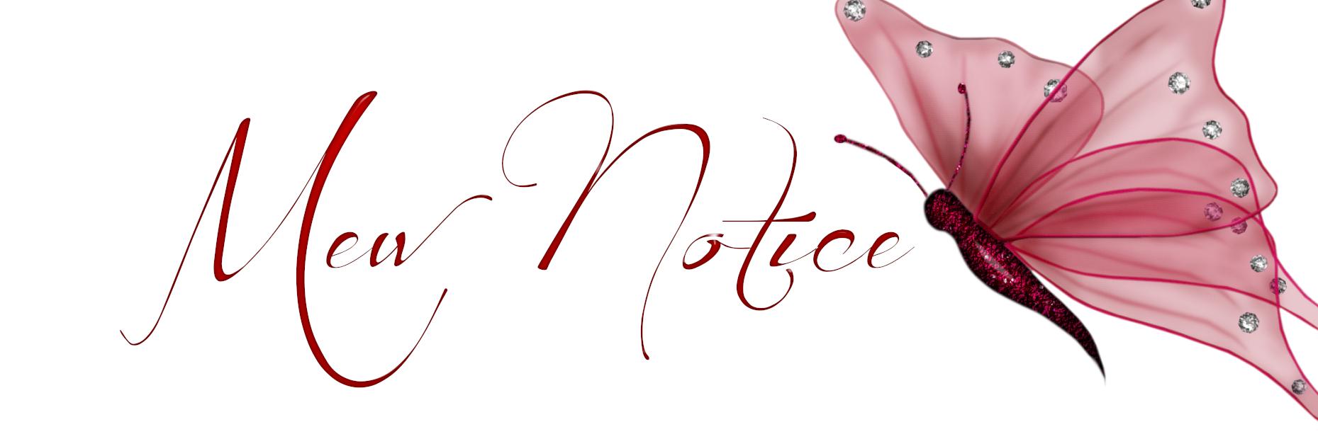 MewNotice's profile banner image