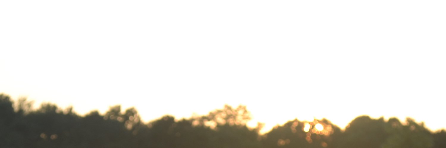 shanmcgrath_'s profile banner image