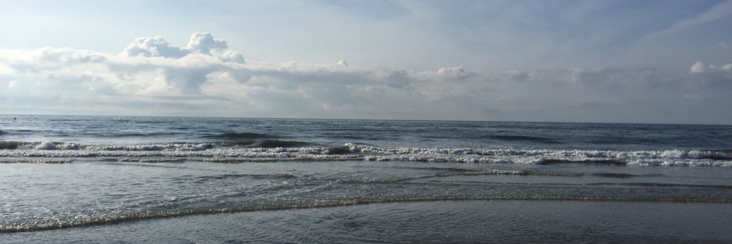 SharonAFerraro's profile banner image