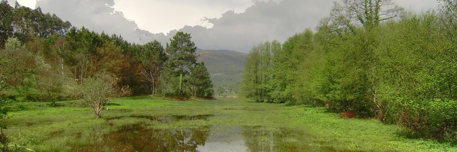 Vítor Pumariño Pérez banner