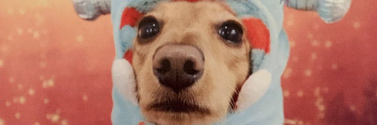 ebidasukin's profile banner image