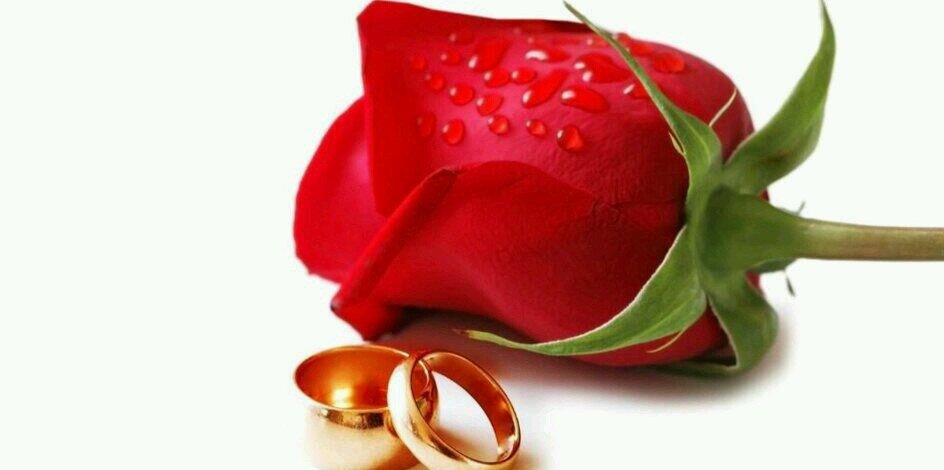 rahafali551's profile banner image