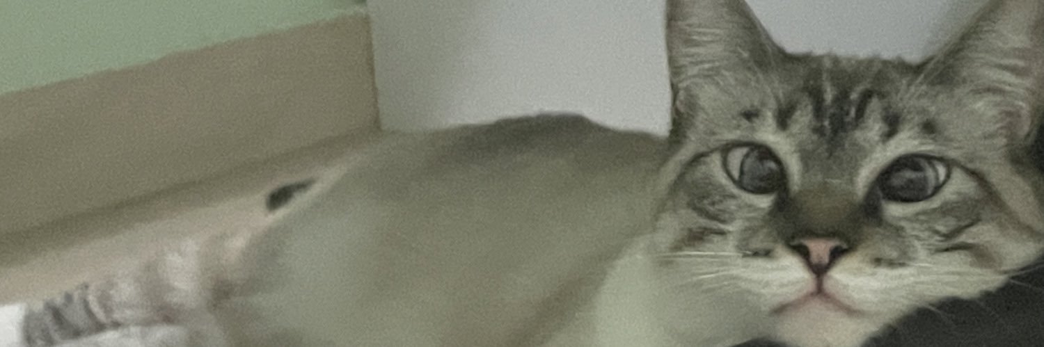 gmfoschiani's profile banner image