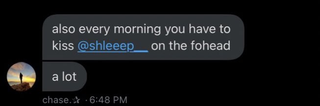 logi bear 🐼 banner