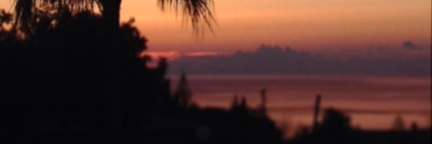 Quibaca's profile banner image