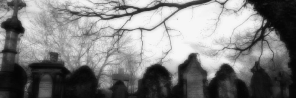 miliaa 💗 banner