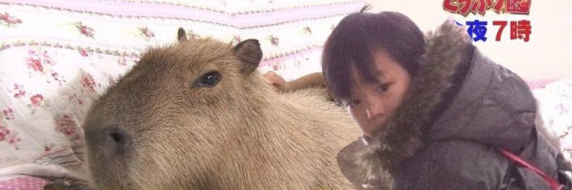 32.. banner