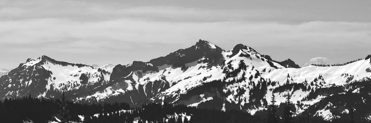 fprmjs's profile banner image