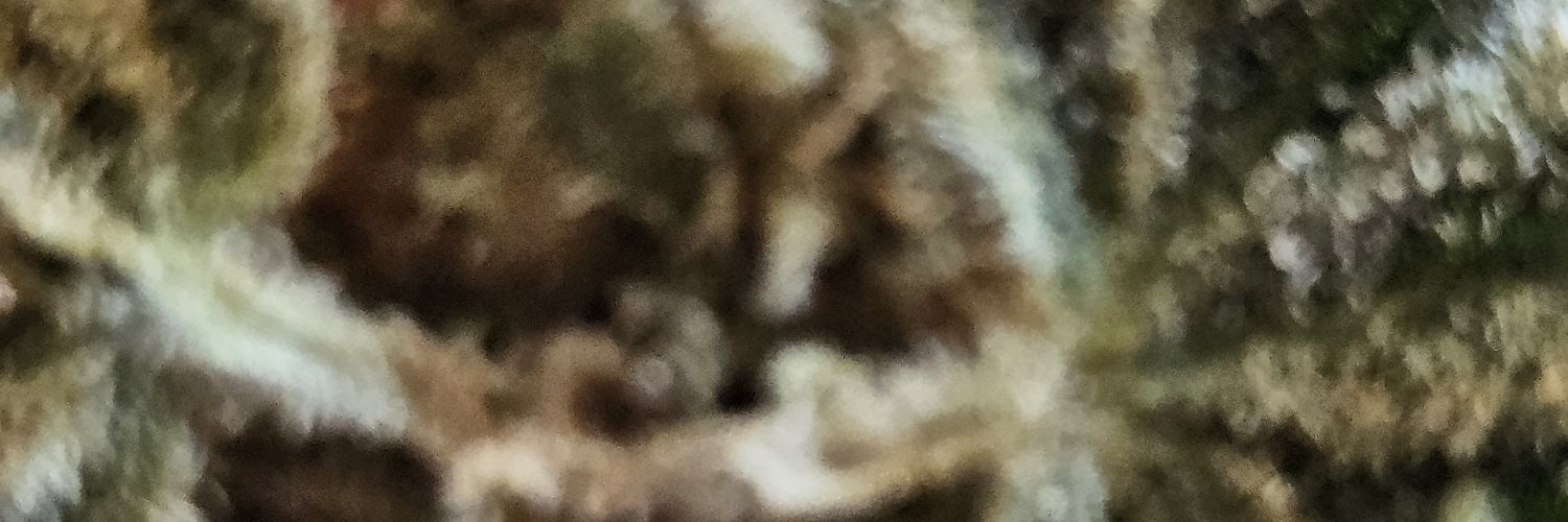 Angéla da massa banner