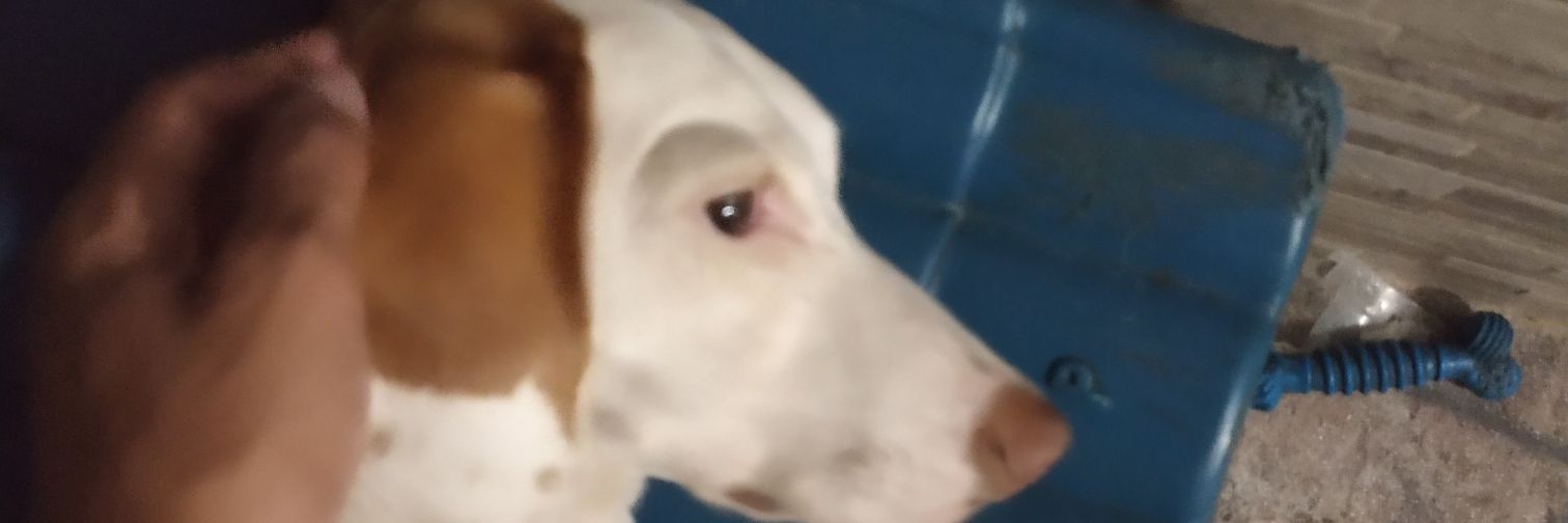_MatheusVG's profile banner image