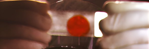 Ayofuckup Profile Banner