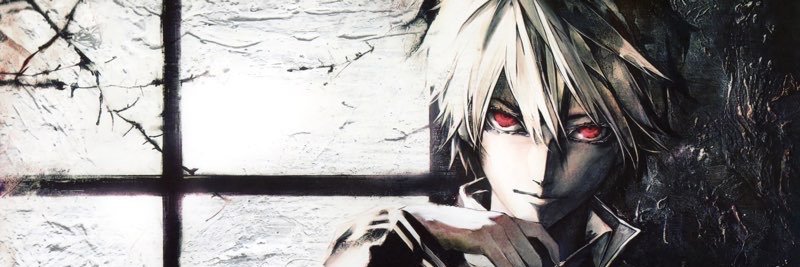 HoshiVT's banner