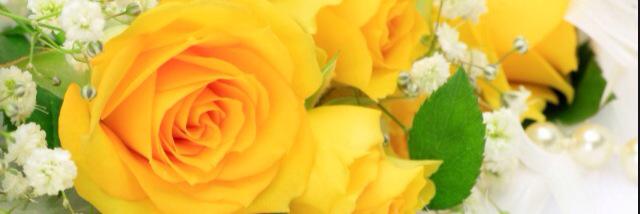 chelsrose93's profile banner image