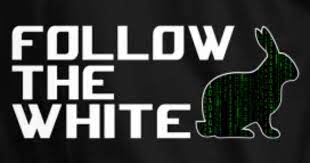 CsigfridMenhustle banner