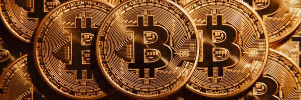 BTCMaxi100 Profile Banner