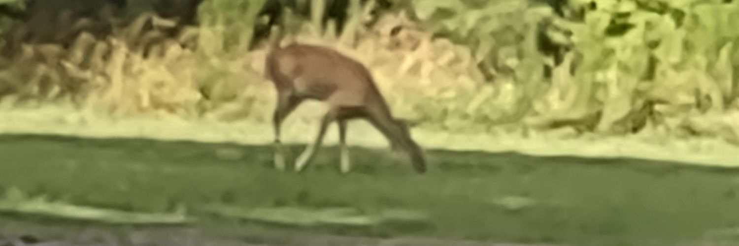 ed6870's profile banner image