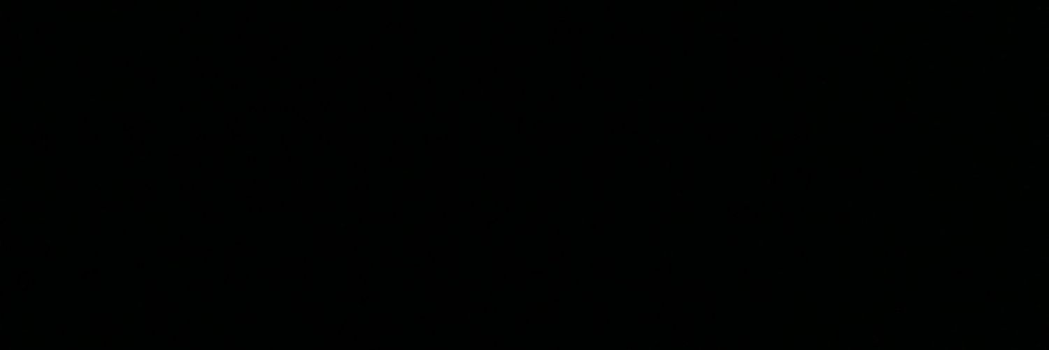 talissa banner