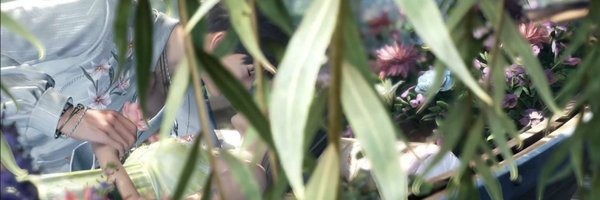 himeno__l Profile Banner