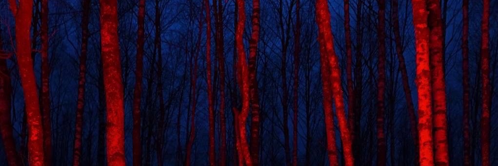 Lisofrot's profile banner image