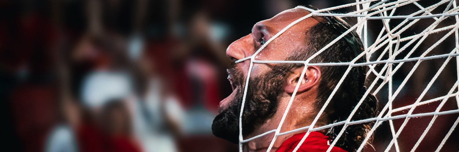 antonicoll's profile banner image