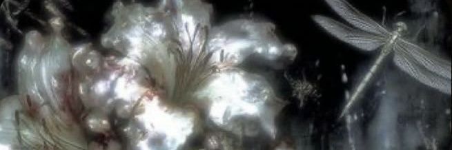 corbin ‌❦ banner