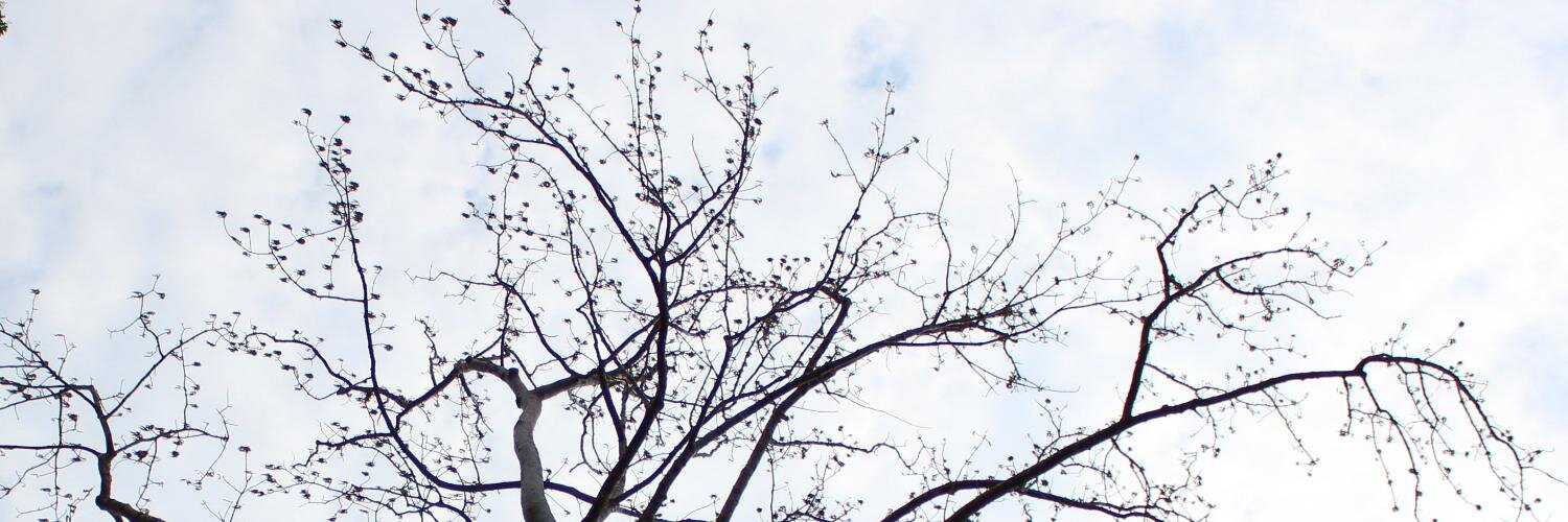 errisyiz's profile banner image